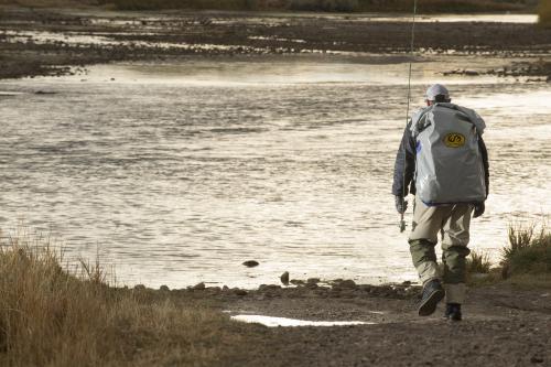 Romano tim-9769-copy (1)