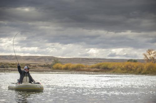 Romano tim-0057-copy (1)